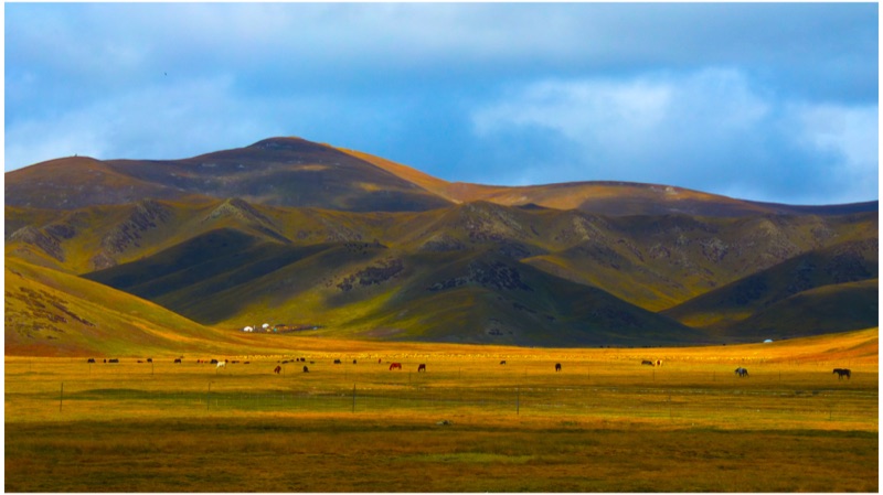 Maqu, Eastern Tibetan Plateau, October 2025