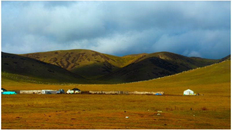 Maqu, Eastern Tibetan Plateau, October 2025