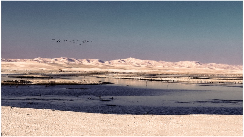 Maqu, Eastern Tibetan Plateau, October 2025
