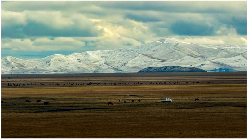 Maqu, Eastern Tibetan Plateau, October 2025