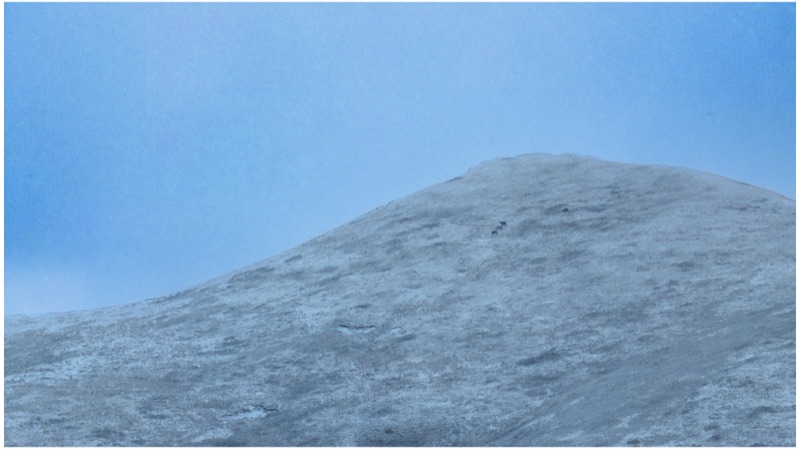 Maqu, Eastern Tibetan Plateau, October 2025