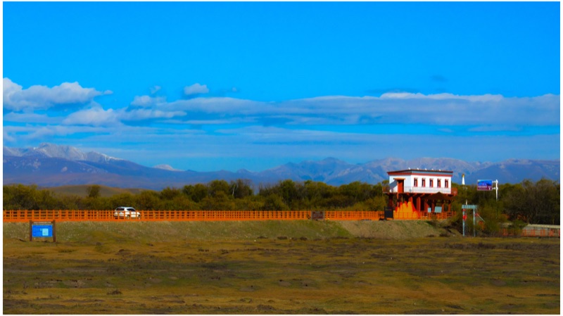 Maqu, Eastern Tibetan Plateau, October 2025