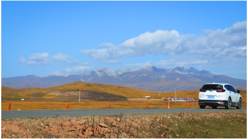 Maqu, Eastern Tibetan Plateau, October 2025