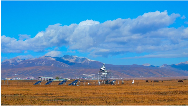 Maqu, Eastern Tibetan Plateau, October 2025
