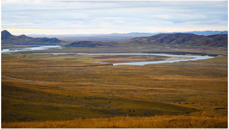 Maqu, Eastern Tibetan Plateau, October 2025